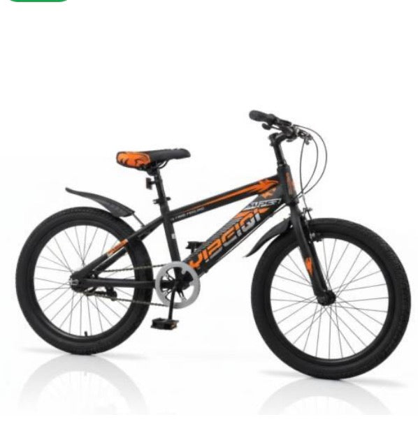 Bicicletas rodado 20