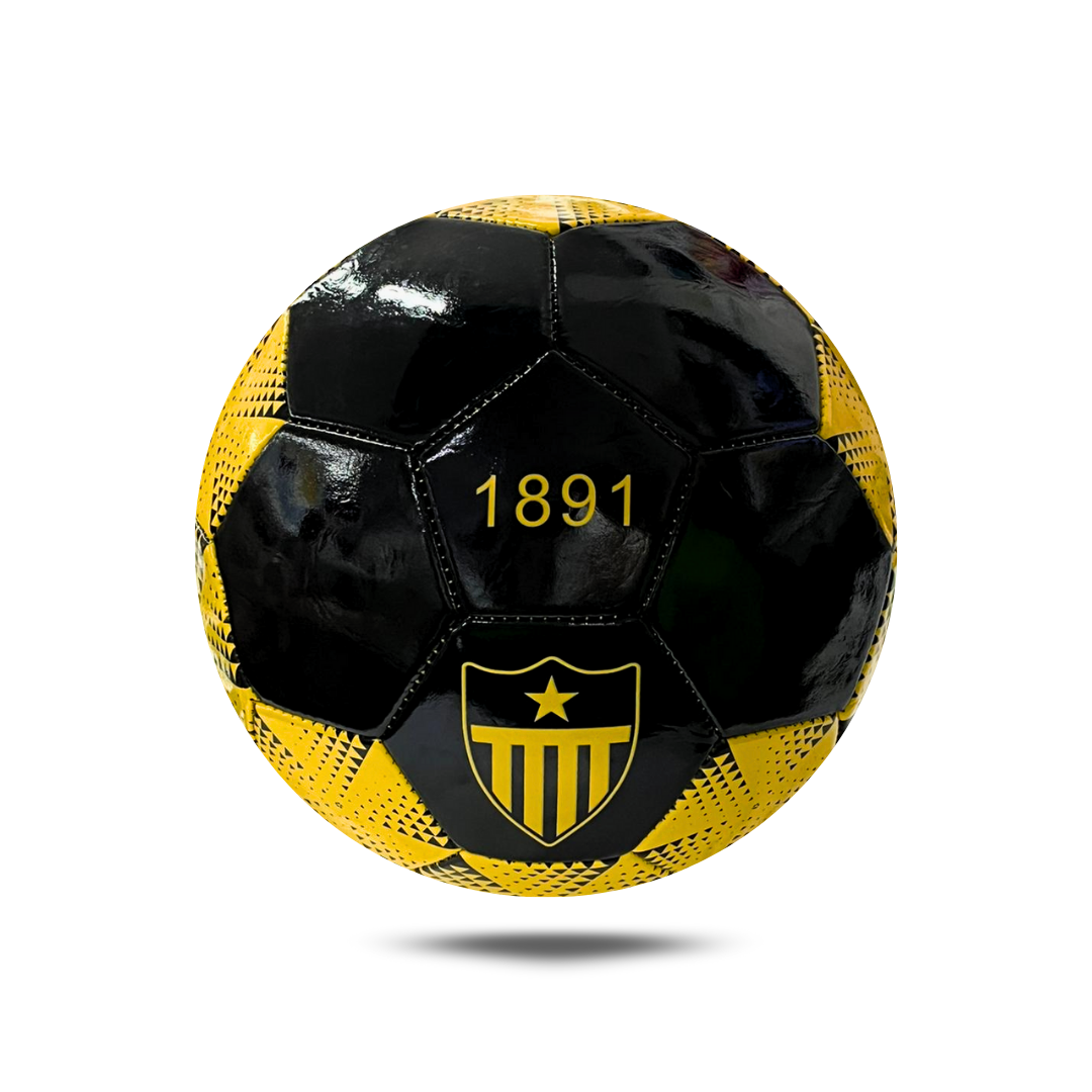Pelota