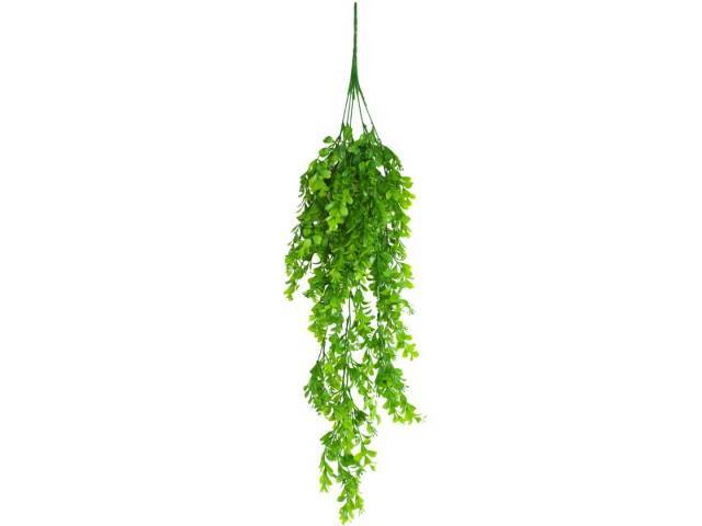 Enredadera colgante