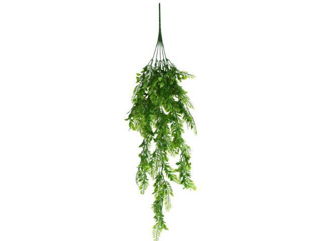 Enredadera colgante