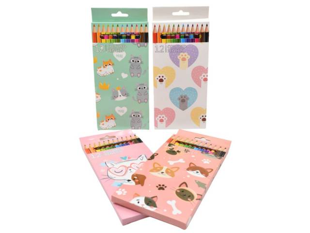 COLORES X12 UNIDADES